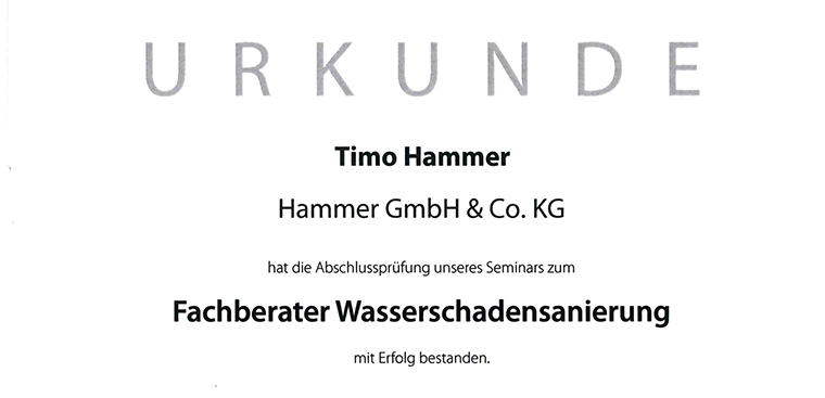 Timo Hammer jetzt auch FACHBERATER FÜR WASSERSCHADENSANIERUNG